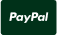 PayPal Icon